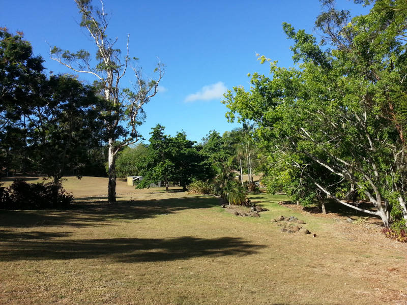 The front yard