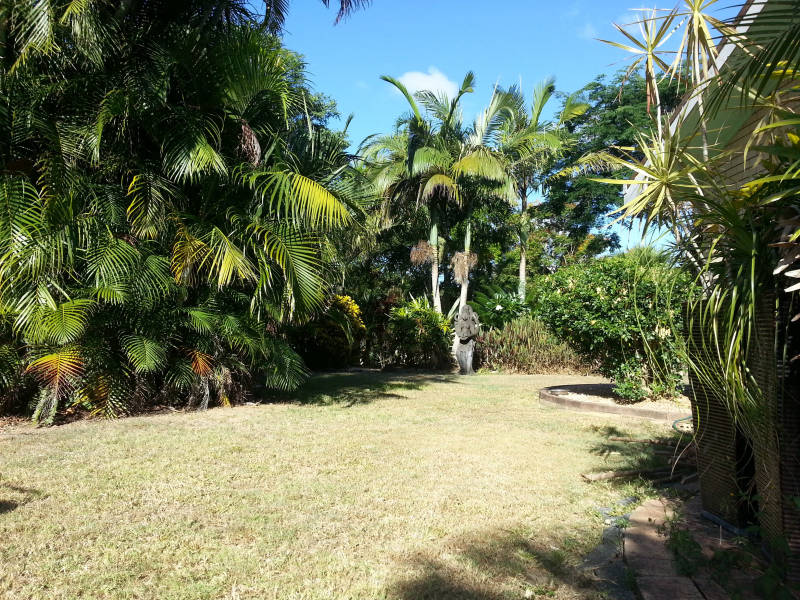 The side garden